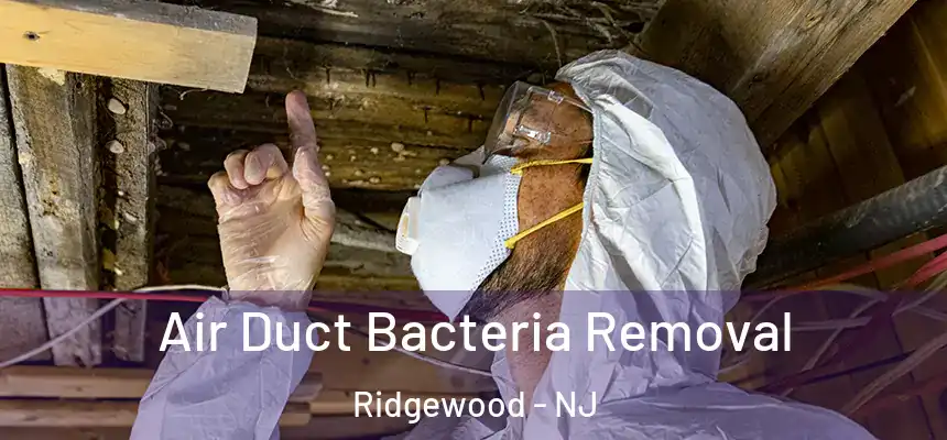  Air Duct Bacteria Removal Ridgewood - NJ