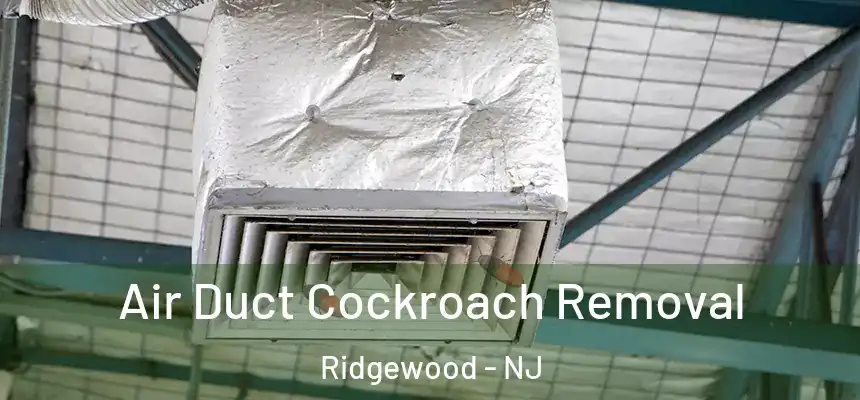 Air Duct Cockroach Removal Ridgewood - NJ