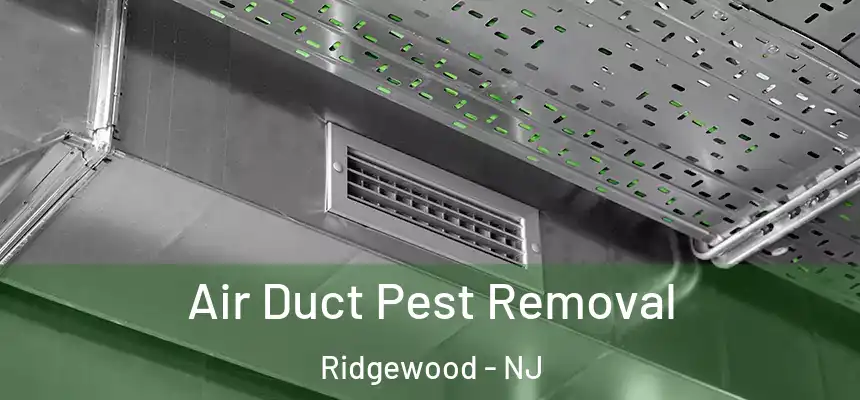  Air Duct Pest Removal Ridgewood - NJ