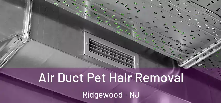  Air Duct Pet Hair Removal Ridgewood - NJ