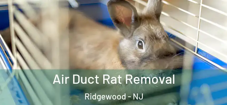  Air Duct Rat Removal Ridgewood - NJ