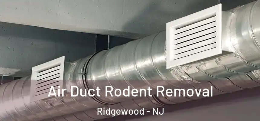 Air Duct Rodent Removal Ridgewood - NJ