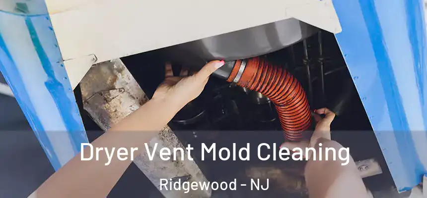  Dryer Vent Mold Cleaning Ridgewood - NJ