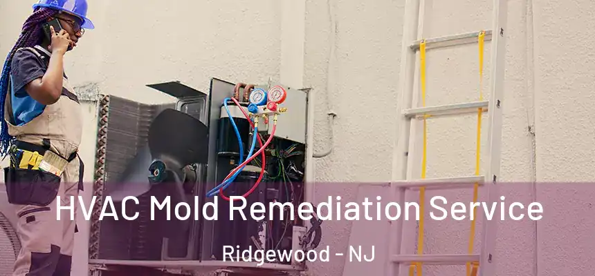  HVAC Mold Remediation Service Ridgewood - NJ