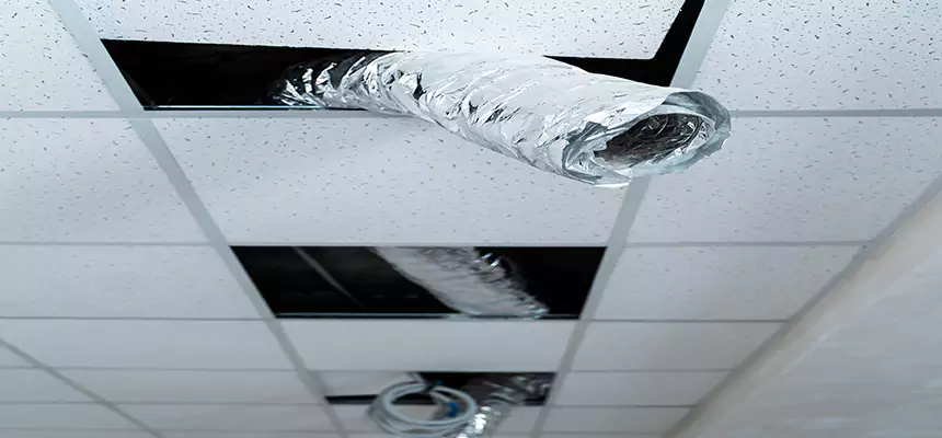 Affordable HVAC Sanitizing After Pest Removal in Ridgewood