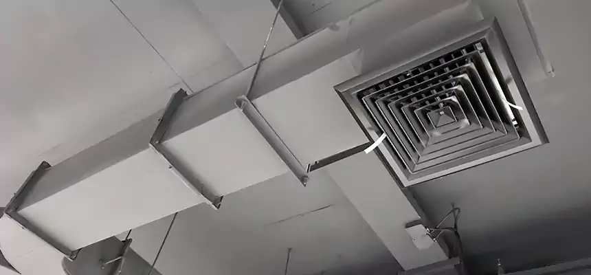 Restorative Allergy Relief Vent Cleaning – Coil, Blower & Housing Detail in Ridgewood