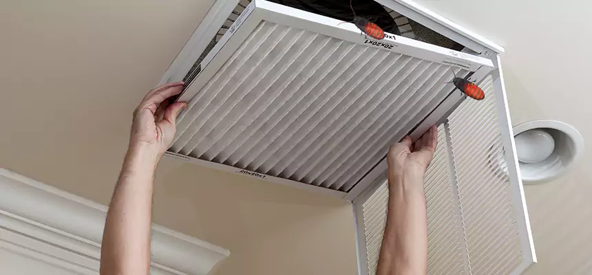 Our Insect Removal from Air Ducts Services in Ridgewood, NJ