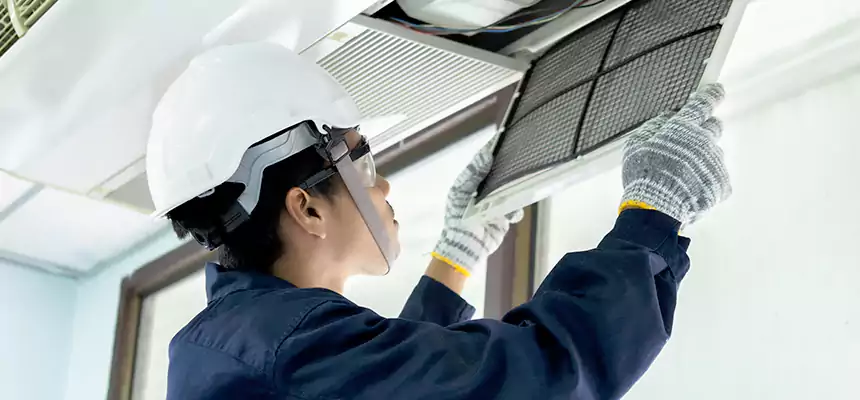 Our Mold & Mildew Removal from Air Ducts Services in Ridgewood, NJ