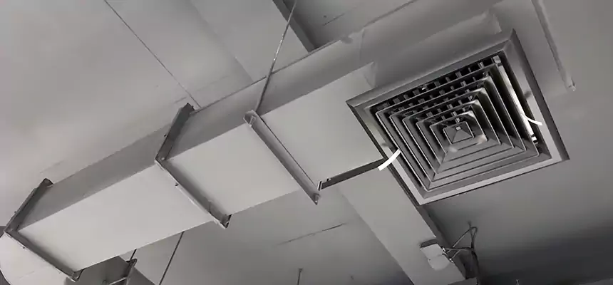 Our Pest Removal From Ducts Services in Ridgewood, NJ