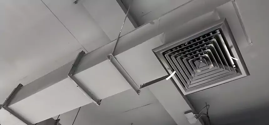 Our Rodent Droppings In Vents Services in Ridgewood, NJ