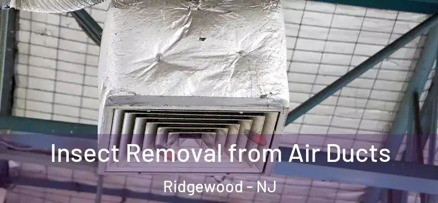  Insect Removal from Air Ducts Ridgewood - NJ