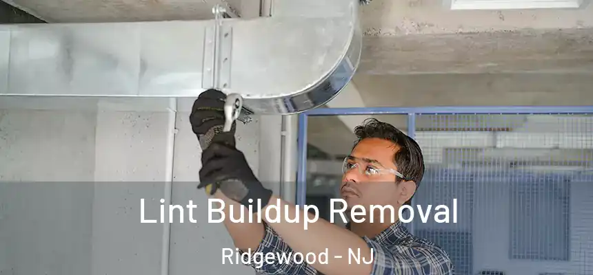  Lint Buildup Removal Ridgewood - NJ