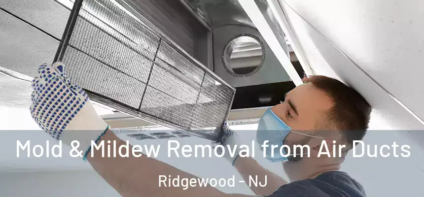  Mold & Mildew Removal from Air Ducts Ridgewood - NJ