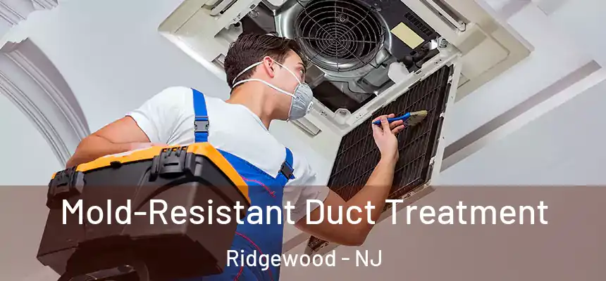  Mold-Resistant Duct Treatment Ridgewood - NJ