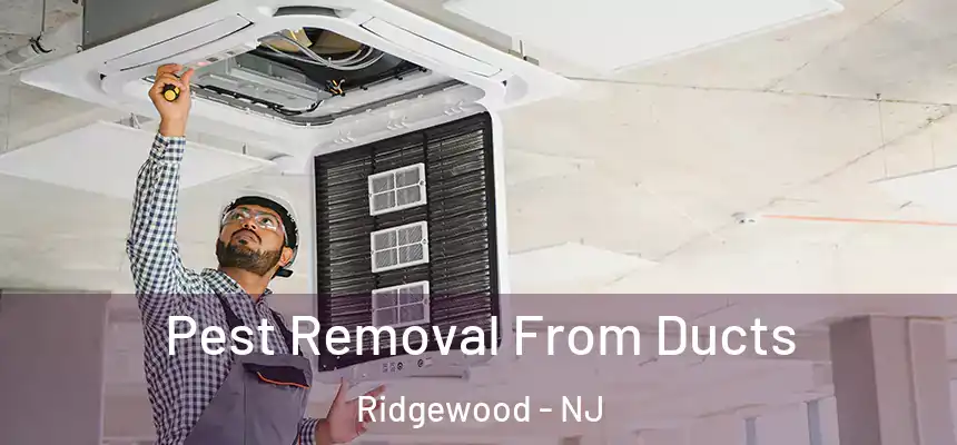  Pest Removal From Ducts Ridgewood - NJ
