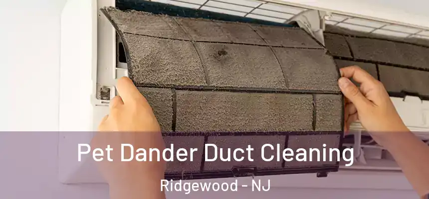  Pet Dander Duct Cleaning Ridgewood - NJ