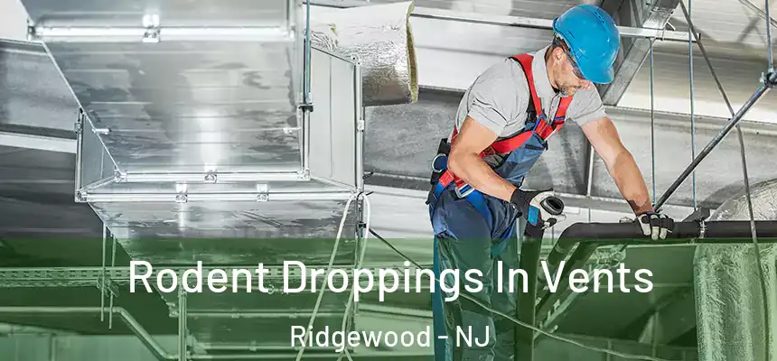  Rodent Droppings In Vents Ridgewood - NJ