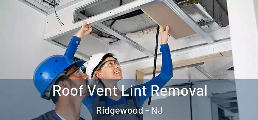  Roof Vent Lint Removal Ridgewood - NJ
