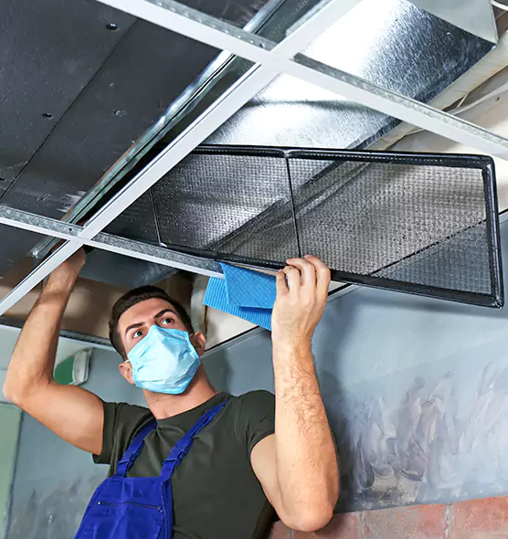 About Air Duct Bacteria Removal in Ridgewood