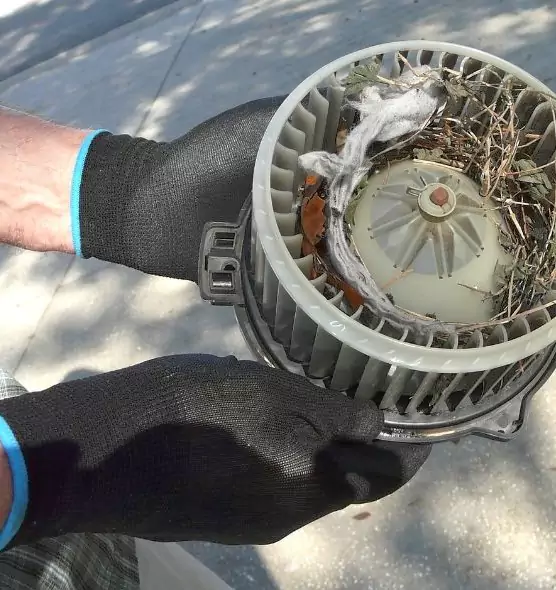 About Air Duct Mice Removal in Ridgewood, NJ