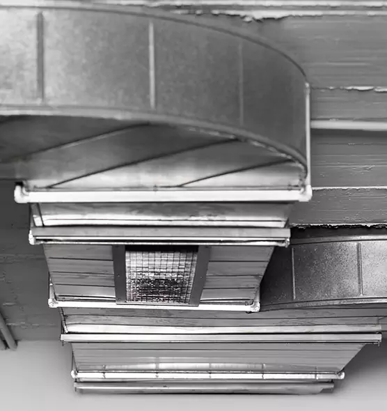 Professional Air Duct Pest Removal in Ridgewood, NJ