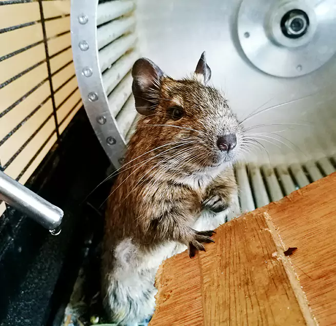 Why Homeowners & Businesses Trust Us Ridgewood, NJ