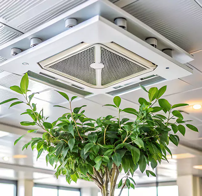 Why Homeowners & Businesses Trust Us in Ridgewood, NJ