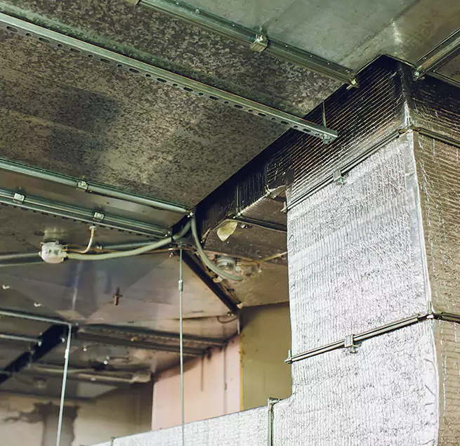 Why Homeowners & Businesses Trust Us in Ridgewood, NJ?